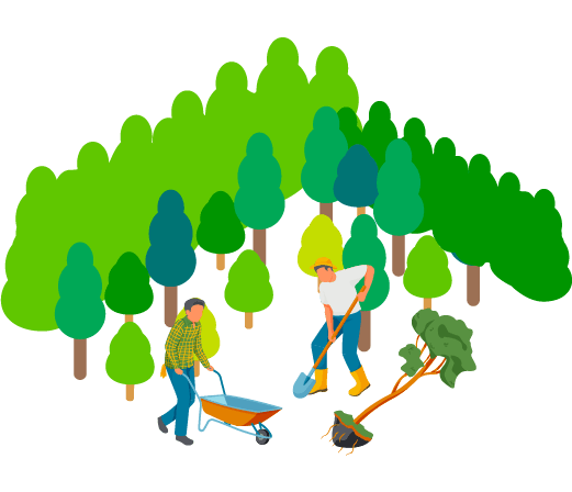 木を植える活動
