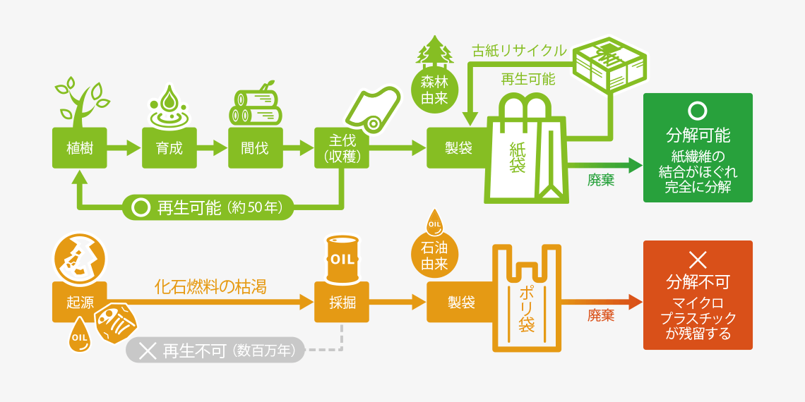 あなたは紙袋とポリ袋のどちらを選びますか