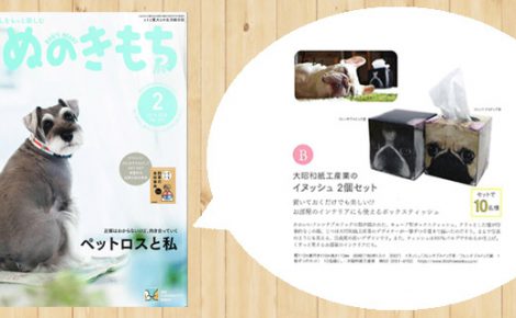 【お知らせ】『イヌッシュ』が「いぬのきもち２月号」で紹介されました。