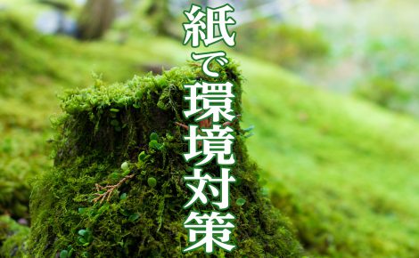 【お知らせ】「紙で環境対策室」を新設しました。持続可能な循環型製品の「紙」で環境対策いたします。