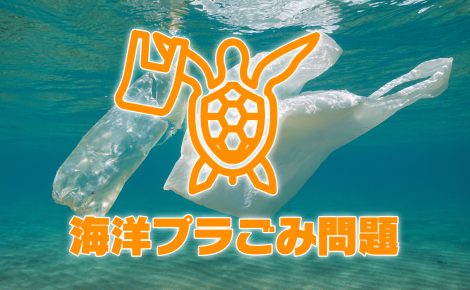 【環境対策】海洋プラごみとマイクロプラスチック