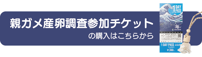 親ガメ産卵調査参加チケットはこちらから