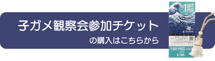 子ガメ観察会参加チケットの購入はこちらから