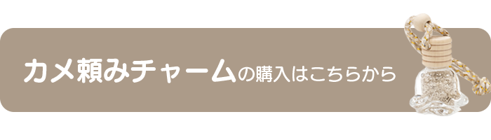 カメ頼みチャームはこちらから購入