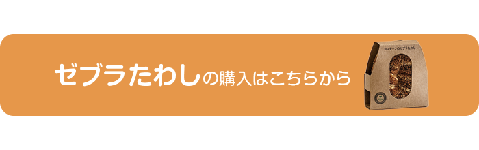 ゼブラたわし|地球に還るココナッツブラシのご購入はこちら